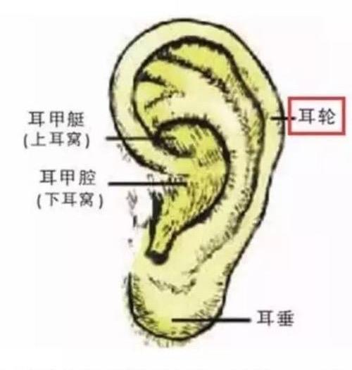 如此整形！取耳软骨做鼻头整形，鼻子好看了耳朵有个缺口 当事人：耳机都挂不住