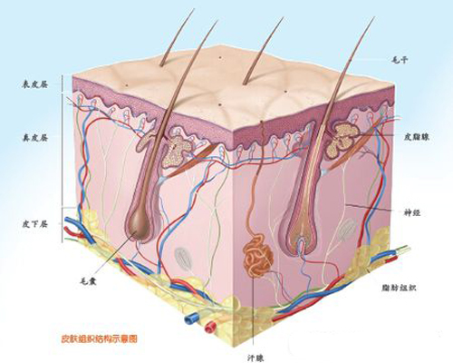 韩啸医生详解大腿吸脂快速瘦腿的并发症及注意事项